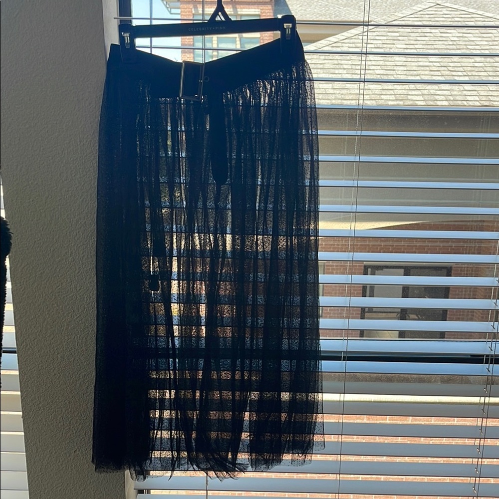 Elegant Black Sheer Skirt